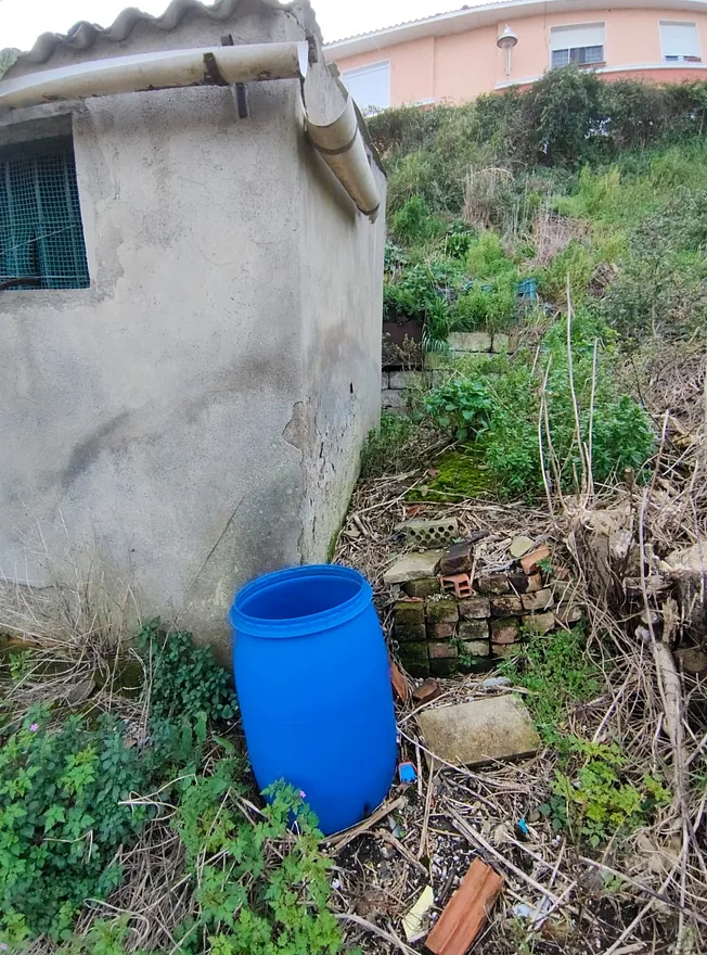 VIVIENDA CON JARDIN Y HUERTA ABATXOLO REF. P995